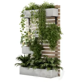 Indoor hanging plants in metal stand